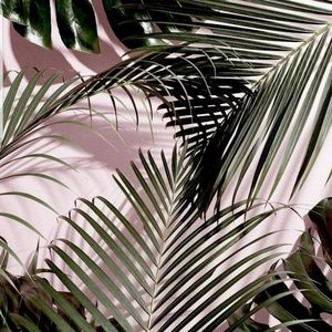 Meet your Posher, Judy-marissa